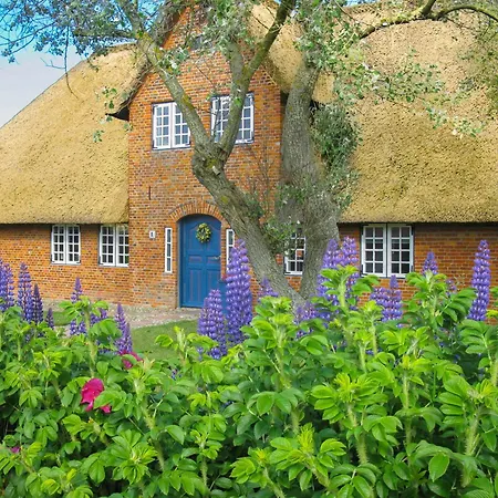 Apartman Friesenhaus Sara S1 Wenningstedt-Braderup (Sylt)