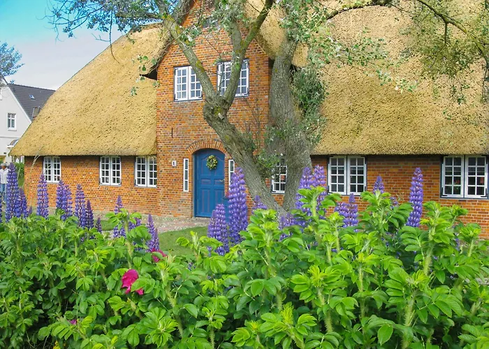 Apartman Friesenhaus Sara S1 Wenningstedt-Braderup (Sylt)